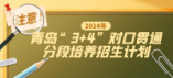 青岛市2024年“3+4”对口贯通分段培养招生计划