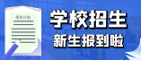 2021年徐汇区公办小学招生划片范围