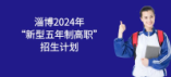 淄博2024年“新型五年制高职”招生计划