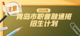 青岛市2024年职普融通班招生计划