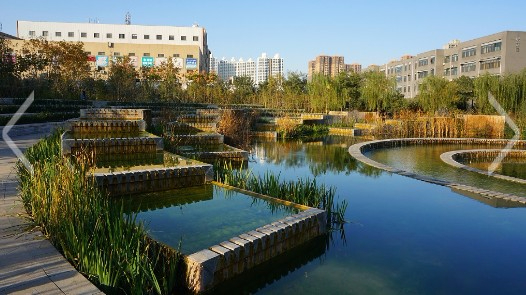 石家庄河北师范大学