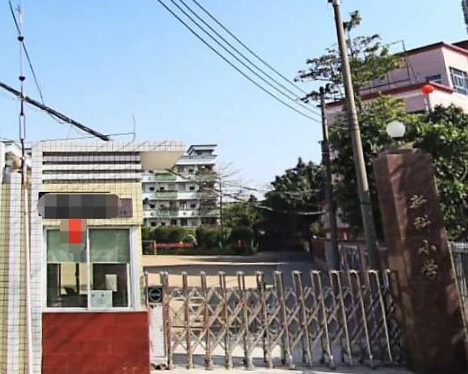 新科小学