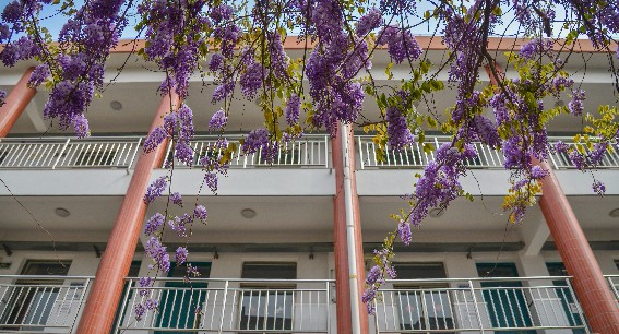 上海奉贤区头桥小学