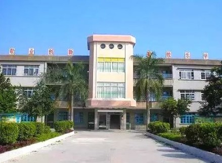 振兴第一小学