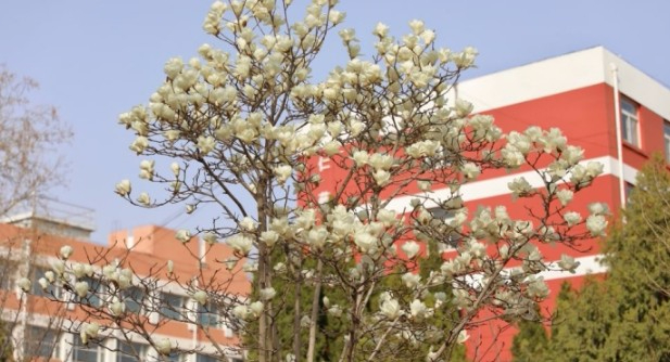 廊坊师范学院