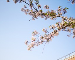 北京丰台区长辛店第一小学