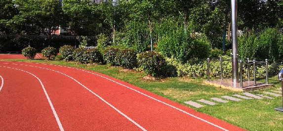 上海奉贤区青村小学