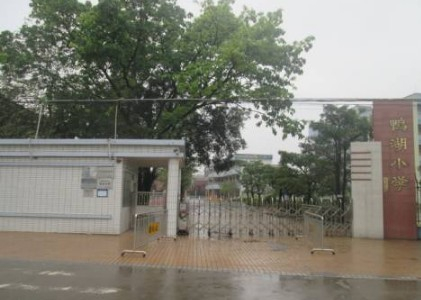 广州鸭湖小学