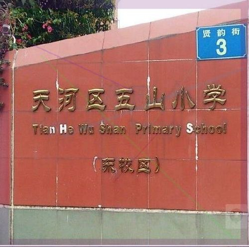 广州五山小学