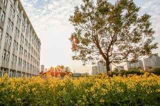 杭州浙大城市学院