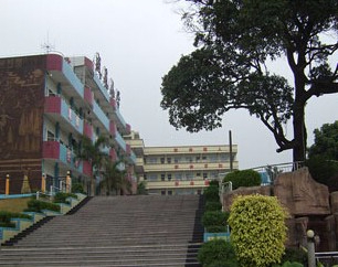 东莞大岭山盛基小学