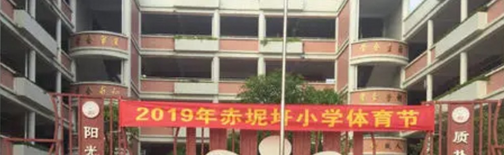 广州赤坭圩小学