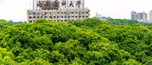 泸州西南医科大学