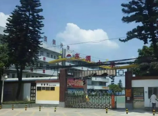 广州东润小学