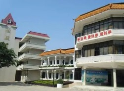 东莞常平桥梓小学