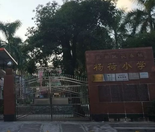 广州杨荷小学