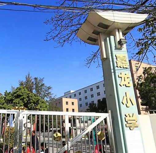 广州嘉龙小学