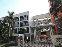 金沙小学