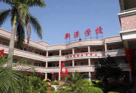 东莞麻涌新港学校