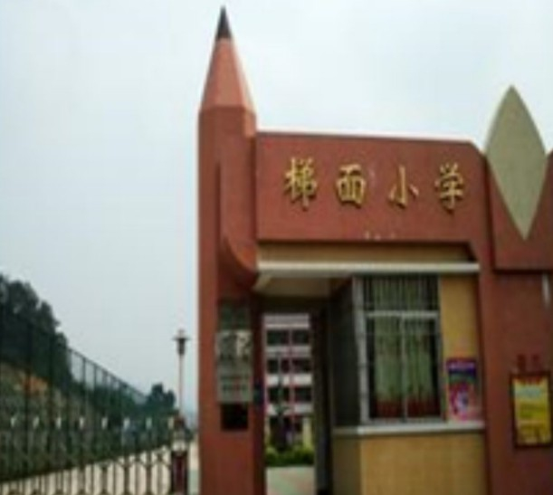 梯面小学