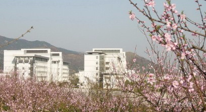 安庆师范大学