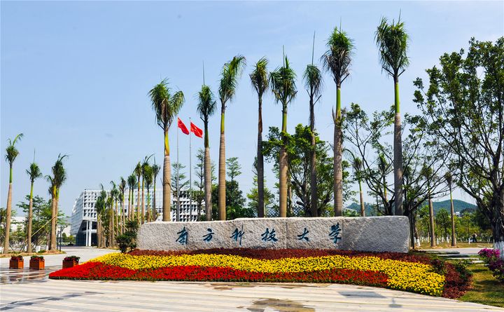 南方科技大学