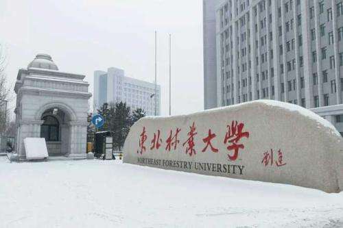 哈尔滨东北林业大学