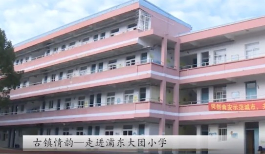 上海浦东新区大团小学