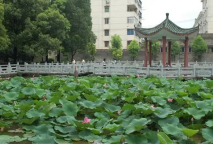 荆门荆州东方中等职业学校