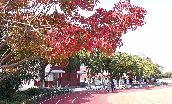 上海奉贤区新寺学校(九年一贯制)