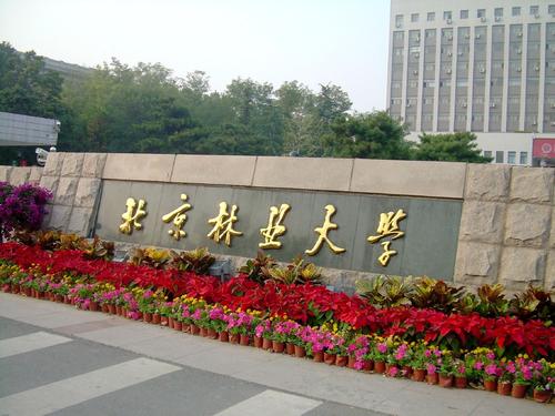 北京林业大学