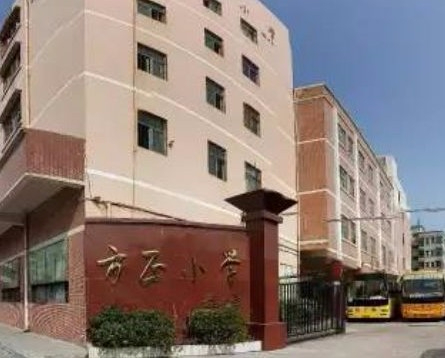 东莞凤岗方正小学