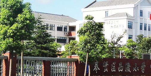 上海奉贤区西渡小学