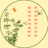 最美的名字是陪伴